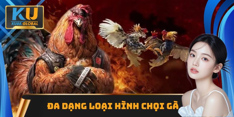 Đa dạng hình thức chọi gà trên nhà cái