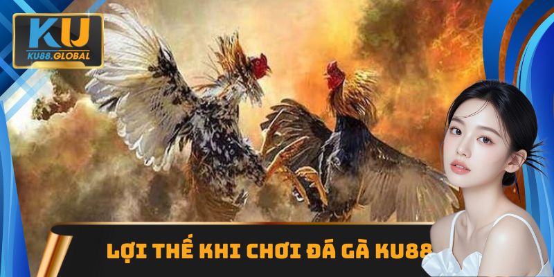 Điểm cộng khi chơi Đá gà Ku88